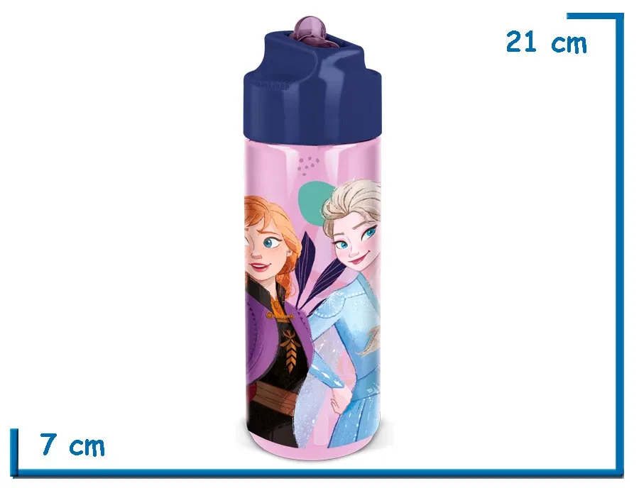 FROZEN BOTELLA 540 ML LARGE ECOZEN HYDRO